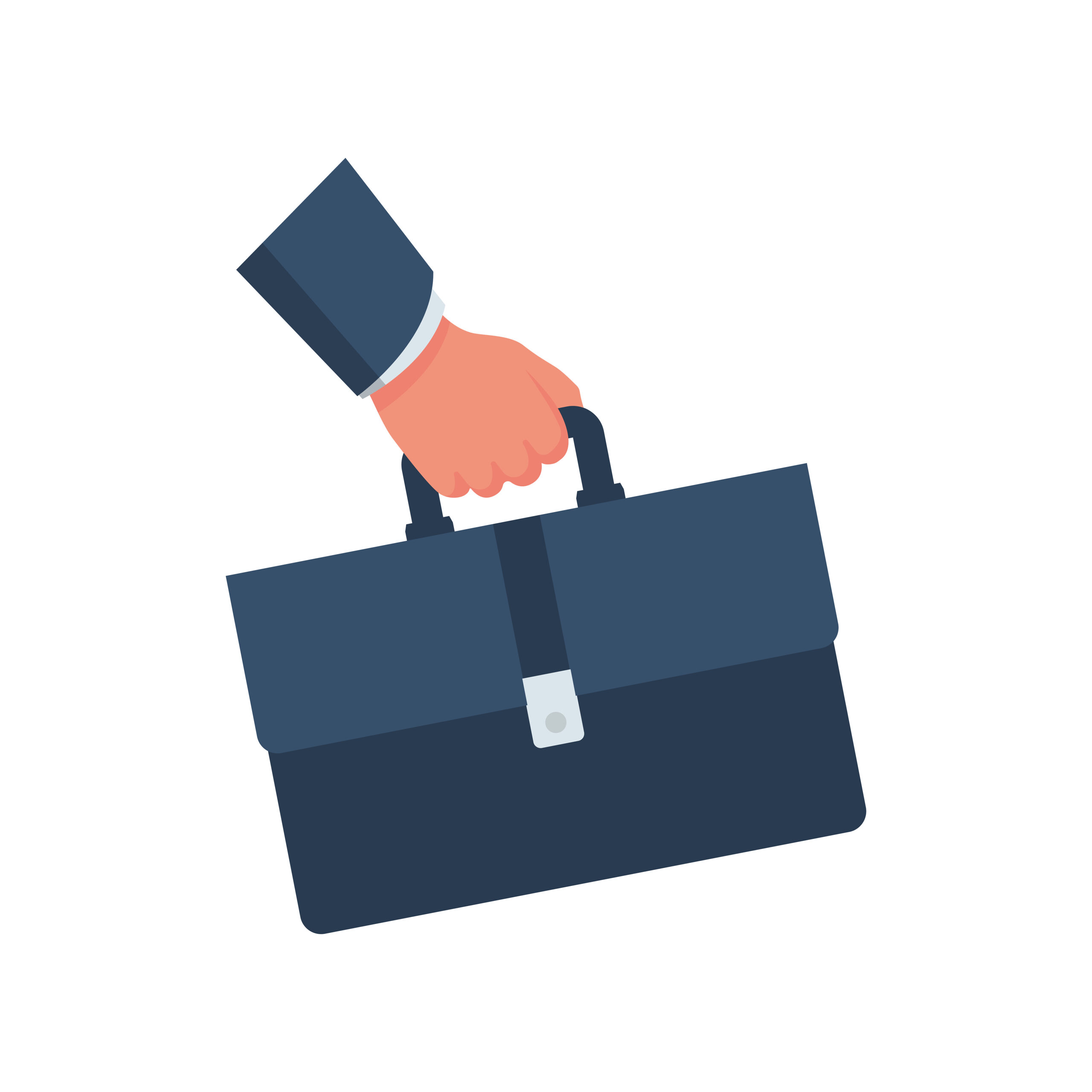 briefcase
